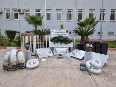 Kaçak Elektrikle Kenevir Yetistirmis