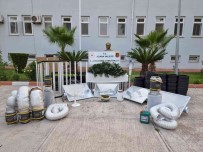 Kaçak Elektrikle Kenevir Yetistirmis