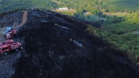 Kocaeli'de Ormanlik Alanda Çikti, 4 Hektar Alan Küle Döndü