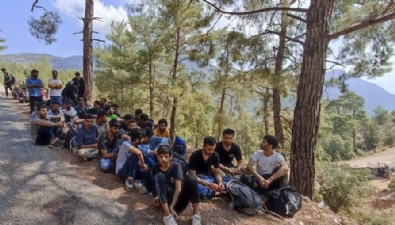 Muğla'da 89 kaçak göçmen, ormanda yakalandı!
