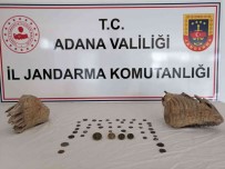 Adana'da Mamut Fosili Ele Geçirildi