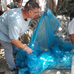 Kedi Ve Köpek Katliami Açiklamasi 15'E Yakini Öldürüldü