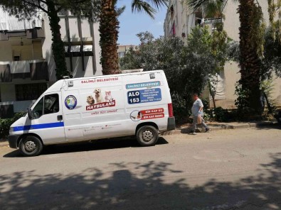 Manisa'da Kedi Ve Köpek Katliami Açiklamasi 15'E Yakini Öldürüldü