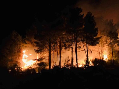 Sinop'un Gerze Ilçesinde Çikan Orman Yangini Korkuttu