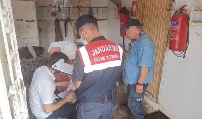 Tavuk Kümeslerine Siki Denetim