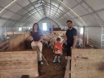 Eskisehirli Üreticilere 797 Bin 95 TL Hibe Verildi