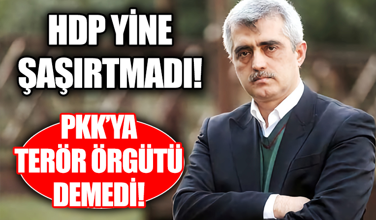 HDP'li Gergerlioğlu, 'PKK terör örgütü müdür?' sorusuna cevap veremedi!