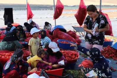 Isot Mesaisi Yapanlara Günes Uyarisi