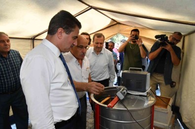 Isparta'da 205 Dönüm Lavanta Tarlasi Aricilik Için Uygun Hale Getirilecek