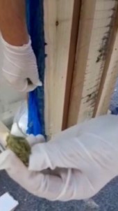 Tahta Kafeste Uyusturucu Ele Geçirildi