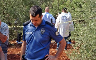 Antalya'da Zeytinlik Alanda 23 Yasindaki Gencin Cesedi Bulundu