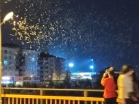 Milyonlarca 'Bir Gün Sinegi' Tarihi Halilefendi Köprüsünü Istila Etti