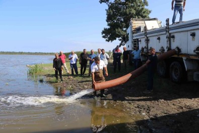 Baraj Göllerine 2,5 Milyon Sazan Yavrusu
