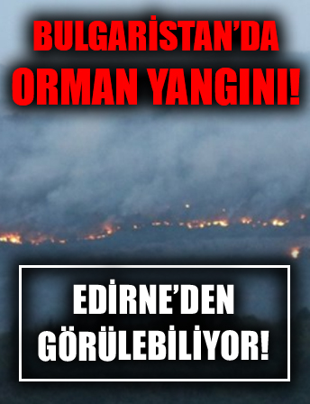 Bulgaristan'da orman yangını! Alevler Edirne'den görülebiliyor...