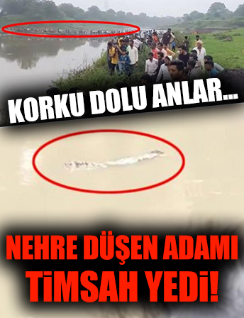 Hindistan'da kan donduran olay: Nehre düşen şahsı timsah yedi
