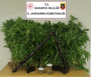 Sakarya'da Uyusturucu Operasyonu Açiklamasi 2 Gözalti