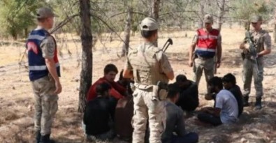 Şanlıurfa'da fıstık bahçesinde saklanan 28 kaçak göçmen yakalandı!