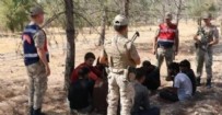 Şanlıurfa'da fıstık bahçesinde saklanan 28 kaçak göçmen yakalandı!