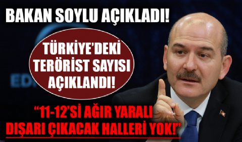 Türkiye'deki terörist sayısı açıklandı! '11-12'si ağır yaralı dışarı çıkacak halleri yok.!'
