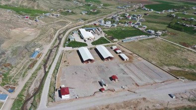 Van'da Sap Hastaligi Açiklamasi Canli Hayvan Pazari Kapatildi