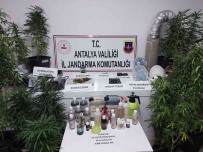 Kumluca'da Jandarmadan Uyusturucu Operasyonu