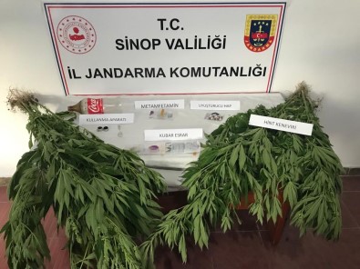 Sinop'ta Uyusturucu Operasyonunda 5 Kisi Yakalandi