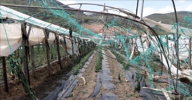 TARSİM kapsamında 12,7 milyar lira devlet prim desteği sağlandı