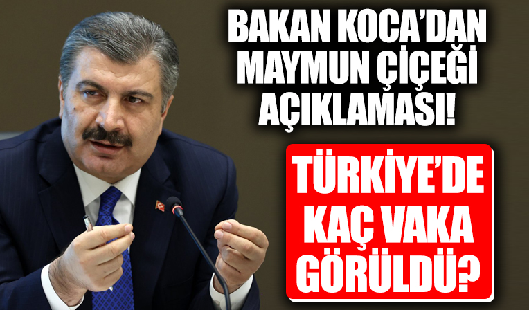 Bakan Koca açıkladı! Türkiye'de 5 Maymun Çiçeği vakası görüldü