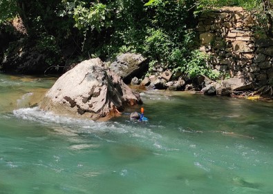 Kayip Hemsireyi Arama Çalismalari 53'Üncü Gününde