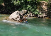 Kayip Hemsireyi Arama Çalismalari 53'Üncü Gününde