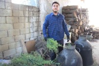 Pandemi Kekigin Kiymetini Arttirdi