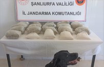 Sanliurfa'da 20 Kilogram Uyusturucu Ele Geçirildi Açiklamasi 2 Gözalti