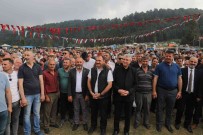 Senliklerde Dikkat Çeken Görüntüler