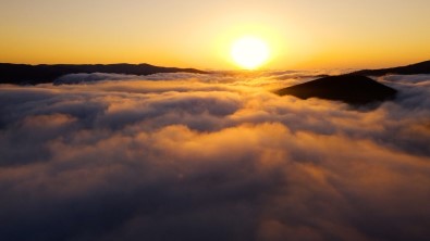 Termometreler 39.5 Dereceyi Gösterdi