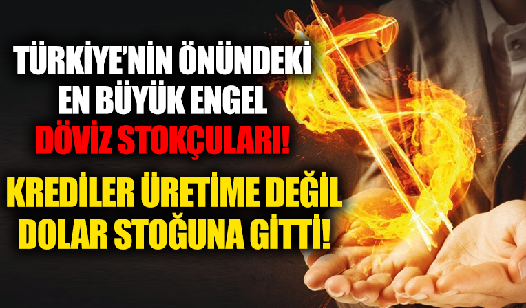 Türkiye'nin önündeki en büyük engel döviz stokçuları!