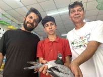 8 Posta Güvercininden 7'Si Eskisehir'e Dönmeyi Basardi