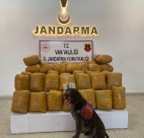 Baskale'de 200 Kilo Toz Esrar Ve 500 Adet Sentetik Ecza Hap Ele Geçirildi