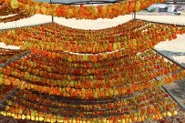 Yilda Kuruttugu 600 Ton Sebzeyle 200 Aileye Ekmek Kapisi Oluyor