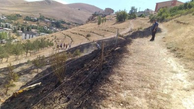 Bayburt'ta Çikan Yanginda 10 Dekarlik Alan Küle Döndü