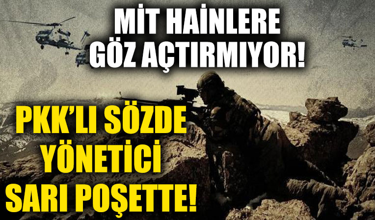 MİT'ten bir nokta operasyon daha! Mıhyeddin Gulo etkisiz hale getirildi