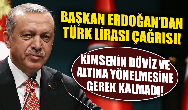 Cumhurbaşkanı Erdoğan'dan Türk Lirası çağrısı! 
