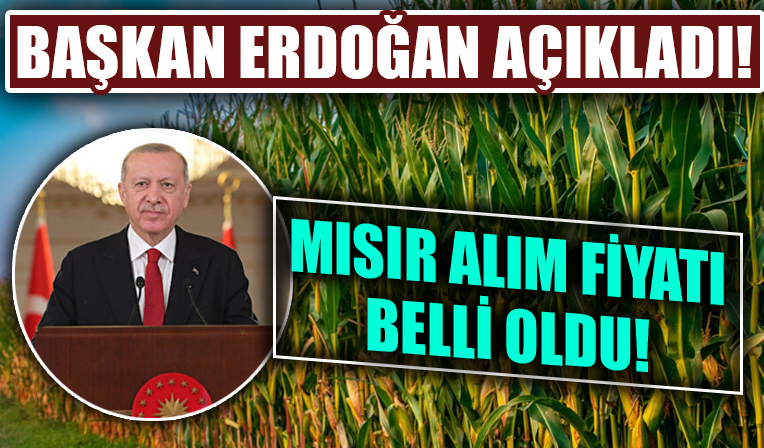 Cumhurbaşkanı Erdoğan mısır alım fiyatını açıkladı!