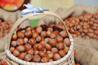 Sezonun Ilk Findigi TMO Tarafindan 56 TL 10 Kurustan Alindi