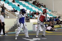 Ümitler Türkiye Tekvando Sampiyonasi Karsilasmalari Tamamlandi