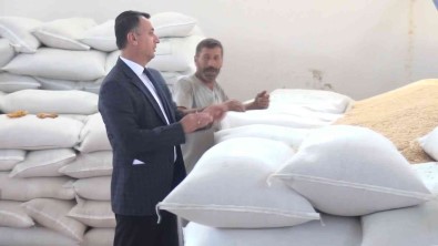 Devlet Destegiyle Kurulan Tesiste Yilda 500 Ton Bulgur Üretiliyor