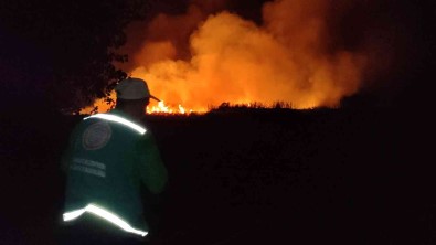 Iznik Gölü'ndeki Yangin Söndürüldü
