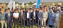 Malazgirt Zaferi'nin 951. Yil Dönümü Coskuyla Kutlanmaya Basladi