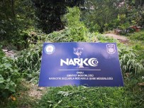 Ordu'da Uyusturucuya Geçit Yok