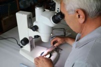 Rizeli Akademisyenler Dünya Balik Faunasi Için 5 Yeni Sazan Cinsi Kesfetti