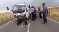 Sürücüsünün Direksiyon Hakimiyetini Kaybettigi Tanker, Büyükbas Hayvan Sürüsüne Daldi